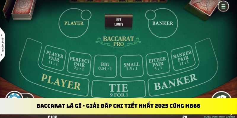 saowin casino Đăng ký