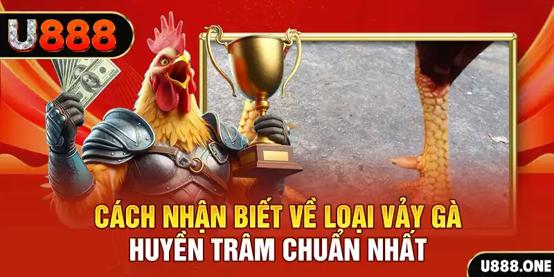 winvn 777 casino SÒNG BẠC