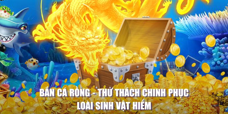 trang casino LÀ GÌ
