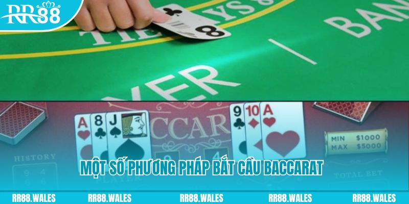mu9 sòng bạc tỷ lệ bóng đá