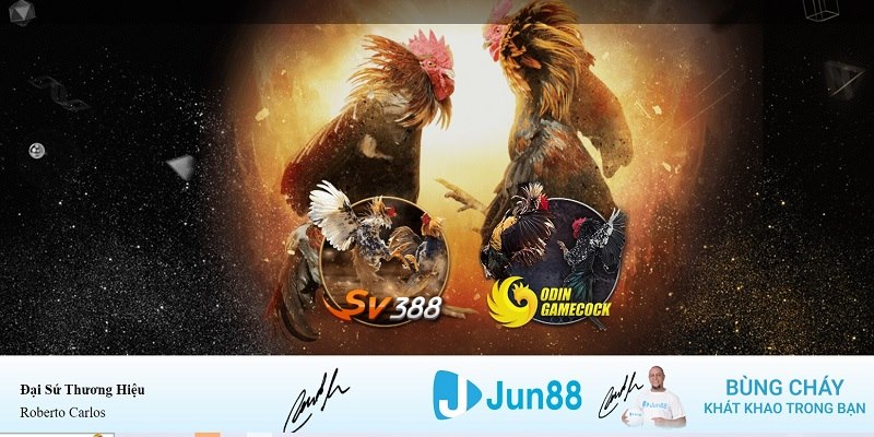 link jun88 casino TRỰC TUYẾN