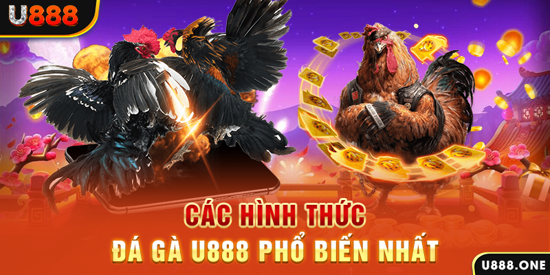 ty le keo 88 casino Sòng bạc