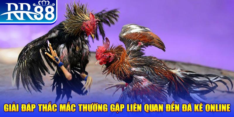 ae 888 sòng bạc LÀ GÌ